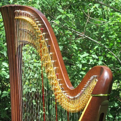 Beth Anne's Brailling Harp is a braille transcription business serving blind or visually impaired persons and the people who love them.