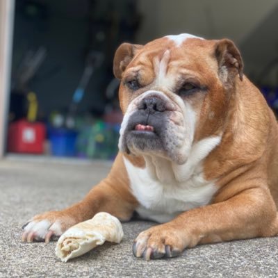 DemiccoJordan's profile picture. 🌎