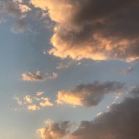 هيفاء الفريح (@haifaalfuraih) 's Twitter Profile Photo