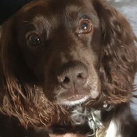 Pamjo (@pamjo12) 's Twitter Profile