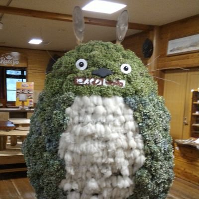 日本全国の近代建築、寺社仏閣を撮っています。47都道府県を制覇したので、今は狙いを定めて旅行に行っています!
食べ歩き、旅行、写真、スキーが趣味です。
