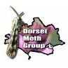 Dorset Moths (@dorsetmoths) 's Twitter Profile