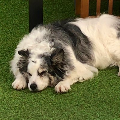 jeannyko69's profile picture. ジョニーに会いてー😭🙏✨