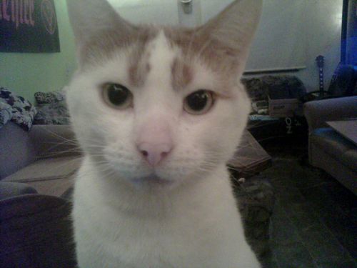 Innootio's profile picture. 