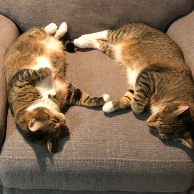 bhbsmom's profile picture. 