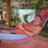 islandguy62's profile image