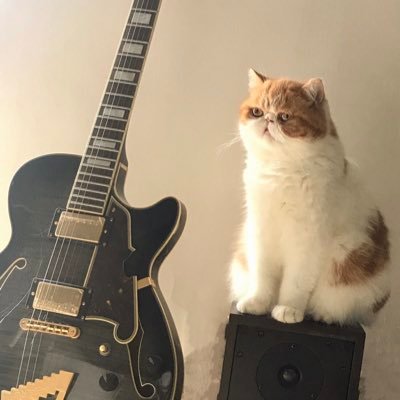 mateolion8007's profile picture. Running an ad agency in Hong Kong