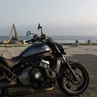 さいのめ (@fqjmlr2qbz3ff8m) 's Twitter Profile