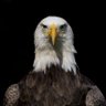LordOneGt1's profile picture. De vuelta a la política ! Vamos a decir la verdad ! 🇬🇹 Guatemala tu nombre Inmortal