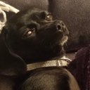 Simon - @SimoninKent - Twitter