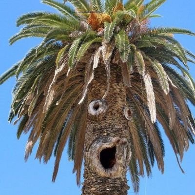 Kuka, back off. Soy el que va a la ferretería con el cosito del coso. Ciberpatrullame la chota
