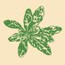 Lobelia Commons (@lobeliacommons) Twitter profile photo Lobelia Commons (@lobeliacommons) Twitter profile photo