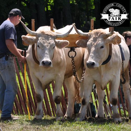 The Twitter account of the former Best Little Fair in Vermont!  Our last year was 2012