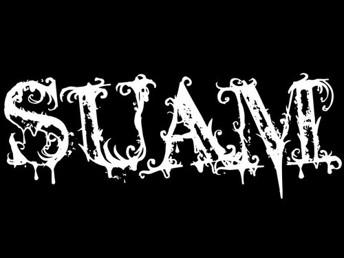 SUAMRadio's profile picture. Official Webcast for Mosh It Up Clothing! Two guys talking about anything and everything in the world of rock music from soft rock to hardcore.