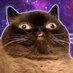 Splattercat (@splattrcatgames) Twitter profile photo Splattercat (@splattrcatgames) Twitter profile photo