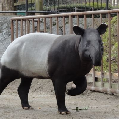 mi__tso__'s profile picture. 深夜ラジオばかり聴いているミーハーです
アイドルをとりまく森羅万象に感謝する系オタク　現場のあとは口数が多い