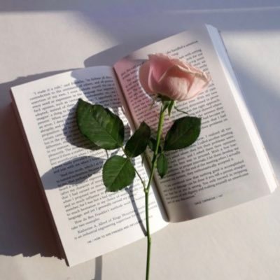 Nabakhalaf's profile picture. الحَمدُلله ❤️