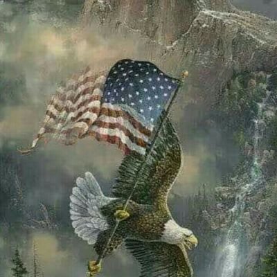CrotzerJudy's profile picture. A conservative. Always  President Trump supporter.Standing Strong and Fighting on for conservative values, and  married Christian as well.
Tolls will be blocked