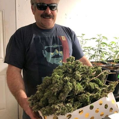 leemorg44036843's profile picture. 私たちは最高品質のマリファナを販売しており、価格も手ごろです。