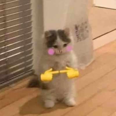 KittenMitten123's profile picture. I'm nice!