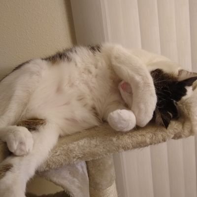 Kasey56323063's profile picture. 