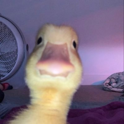 joshsmi91707015's profile picture. let’s talk?