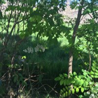 @Vale 🇨🇱🍀🌹 (@valeria61600307) 's Twitter Profile Photo