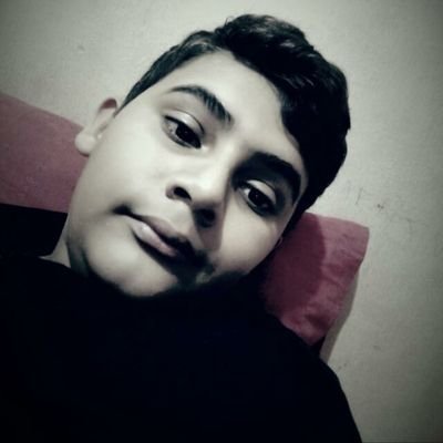 LuisFer82443001's profile picture. 