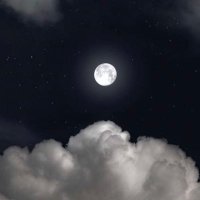 🦋 (@iox7i) 's Twitter Profile