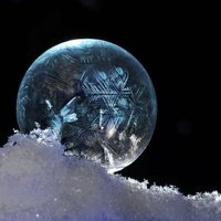 biobeast (@biobeast1) 's Twitter Profile