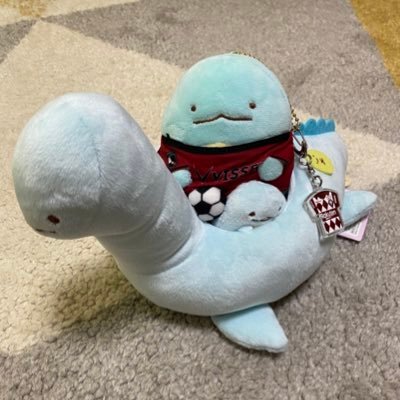 非神戸市民。ほとんどDAZN観戦。武藤選手、汰木選手、櫻井選手を応援しています♦️フォロー大歓迎です🙆♀️が、サッカー関係ないアカウントはお断り🙅♀️