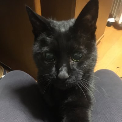 ハルさんのプロフィール画像