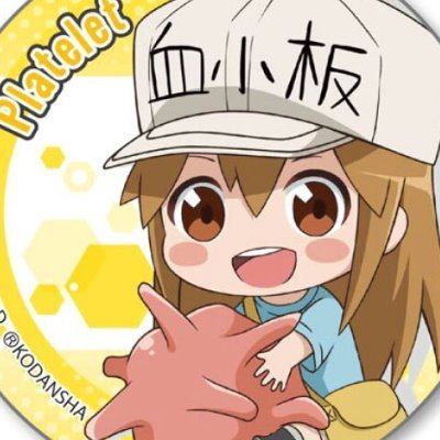あんず＠毎日アニメ鑑賞さんのプロフィール画像