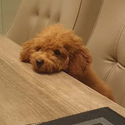 Weskachu's profile picture. DELIVER ME FROM EVIL