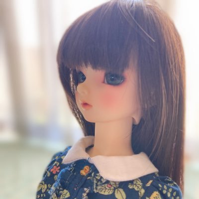 みけねこ Doll Mikeneko Twitter
