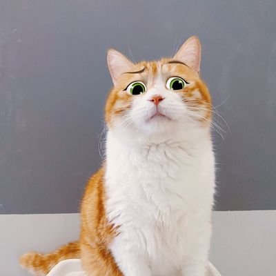 WorkWor66730116's profile picture. A fun seeker