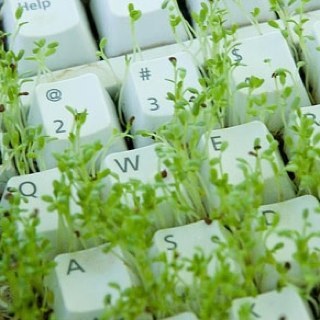 Takatrek's profile picture. Today is better than yesterday !!