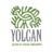 yolcan_mx's profile image
