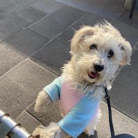 Rui Jin (@ruijinjerry) 's Twitter Profile