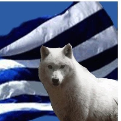 wolf5760eagle81's profile picture. Αποφεύγω  τις συγκρούσεις αλλά άμα προκληθώ δείχνω τα δόντια μου Καλύτερα να μην είστε κοντά