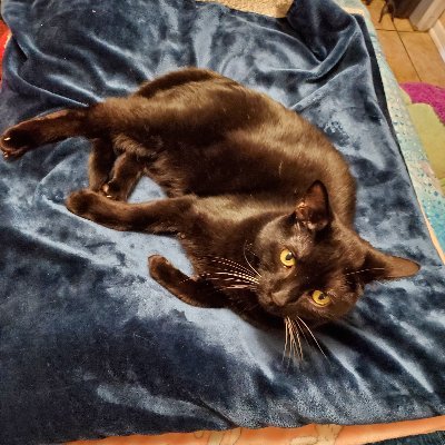 GentlePinkBoot's profile picture. 