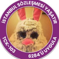 Ertuğ Çapulcuoğlu(@ErtugT) 's Twitter Profile Photo