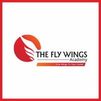 The Fly Wings Academy(@TheFlyWingsAca1) 's Twitter Profile Photo