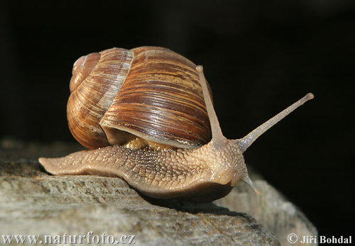 Fighting to get the broadband BT promised. The BT in my Twitter name stands for Bad Time.