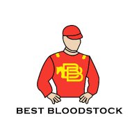Best Bloodstock(@BestBloodstock) 's Twitter Profile Photo