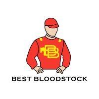 Best Bloodstock (@bestbloodstock) 's Twitter Profile Photo