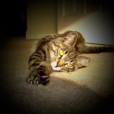 Kenny10421373's profile picture. Tokyo Tech / Royal Institute of Technology / London School of Economics / Royal Statistical Society / Big Data Lab
#lifelonglearning #stat #database #ml