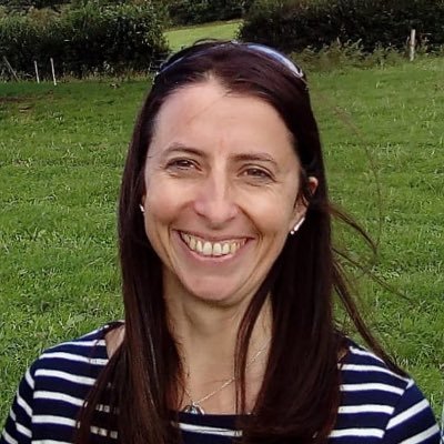 Educational psychologist and professional tutor. interest in supervision and staff wellbeing. Research into impact of domestic abuse