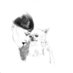 Taeko Kojima (@taekojimat) Twitter profile photo Taeko Kojima (@taekojimat) Twitter profile photo