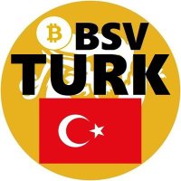 Bitcoinˢᵛ TURKEY 🇹🇷⚡(@BSV_TR) 's Twitter Profile Photo